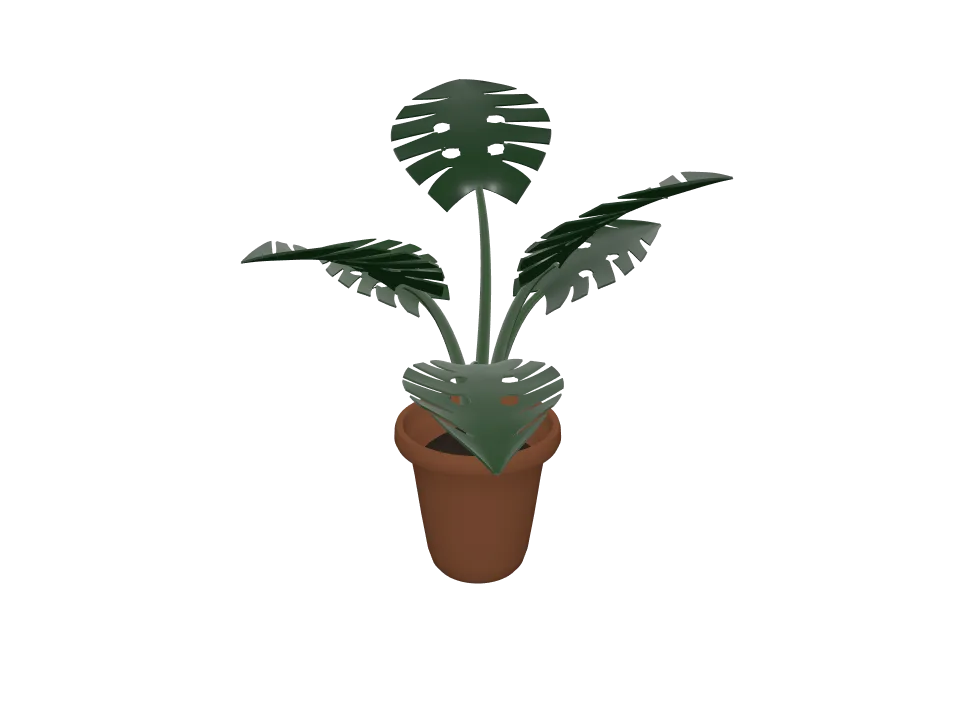 Claude Opus 5 — P09: A potted plant: terracotta pot with a leafy monstera-style plant, about six large leaves.