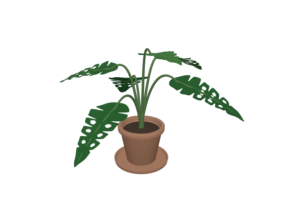 Claude Fable 5.1 — P09: A potted plant: terracotta pot with a leafy monstera-style plant, about six large leaves.