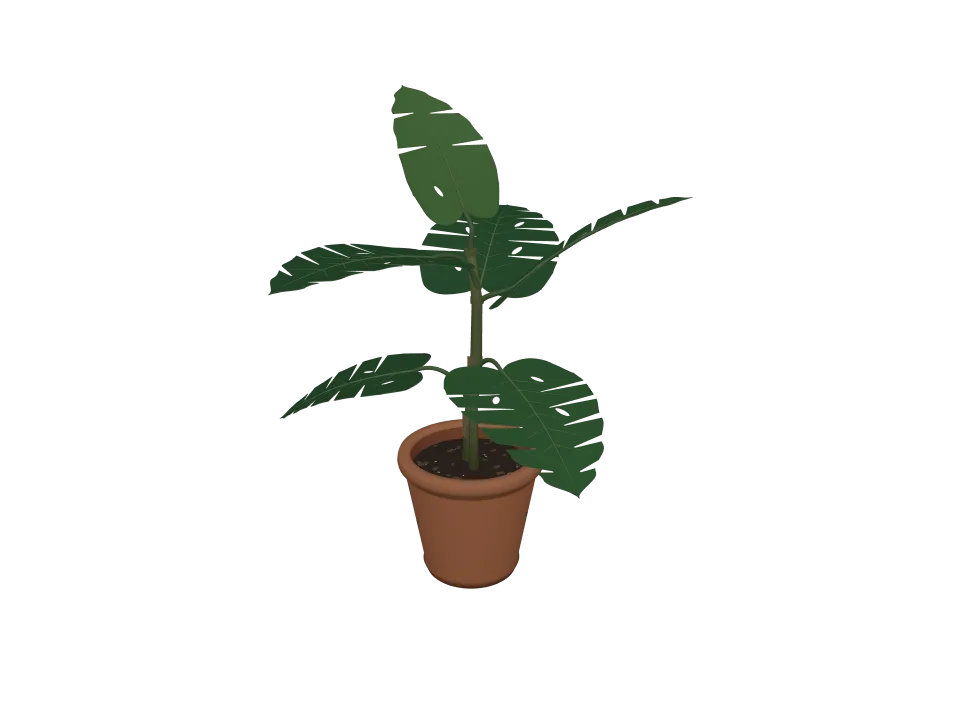 GPT-6 Astra — P09: A potted plant: terracotta pot with a leafy monstera-style plant, about six large leaves.