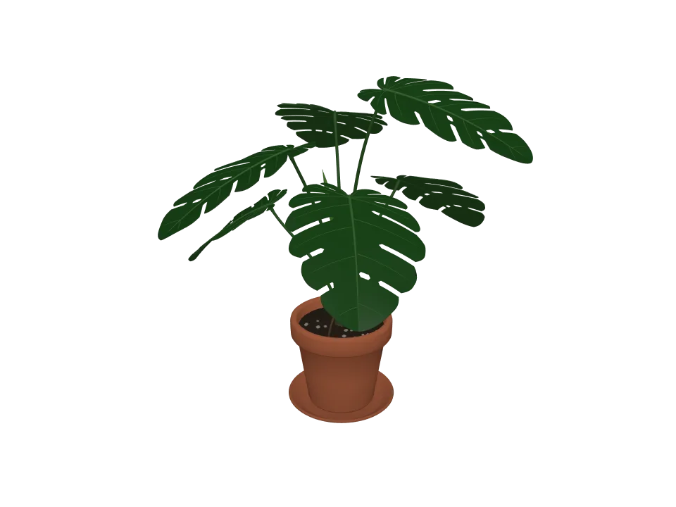 Claude Opus 5.5: Potted plant. A potted plant: terracotta pot with a leafy monstera-style plant, about six large leaves.