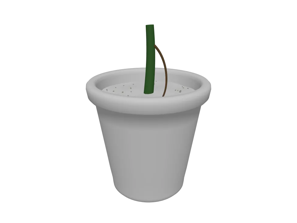 GPT-6.1 Sol: Potted plant. A potted plant: terracotta pot with a leafy monstera-style plant, about six large leaves.
