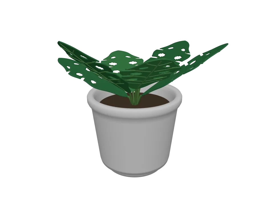 GPT-6 Luna: Potted plant. A potted plant: terracotta pot with a leafy monstera-style plant, about six large leaves.