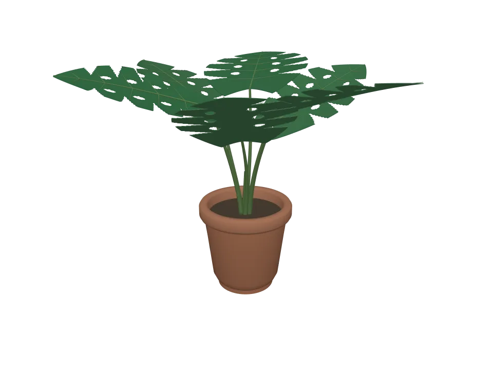 GPT-6 Sol: Potted plant. A potted plant: terracotta pot with a leafy monstera-style plant, about six large leaves.